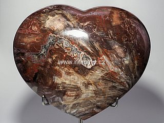 petrified wood, heart
